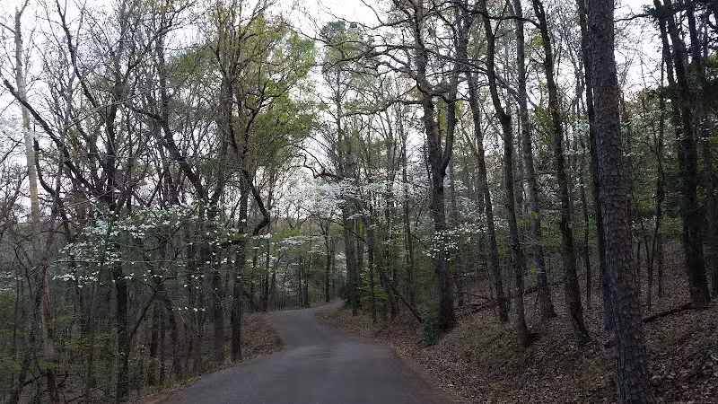 Davey Dogwood Park - Palestine, TX