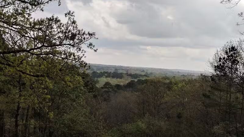 Davey Dogwood Park - Palestine, TX