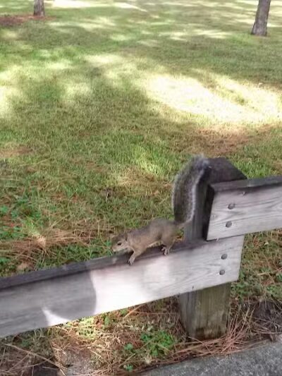 Jock Leighton Park - Palm City, FL