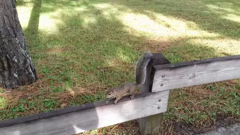 Jock Leighton Park - Palm City, FL