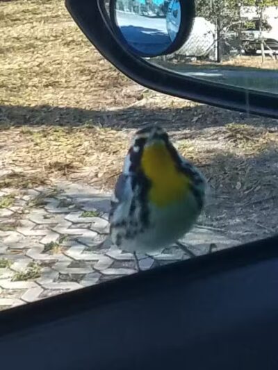 Jock Leighton Park - Palm City, FL