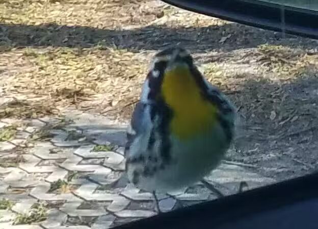 Jock Leighton Park - Palm City, FL