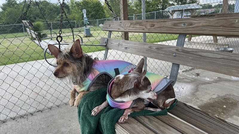 Pana (JCC) Dog Park - Pana, IL