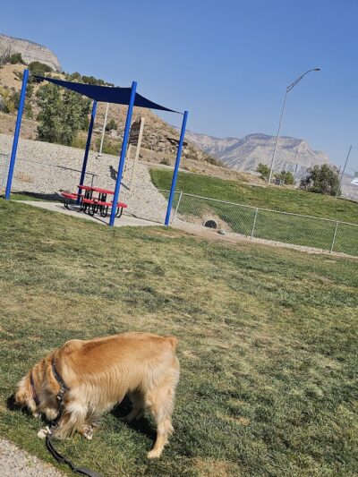 Parachute Dog Park - Parachute, CO