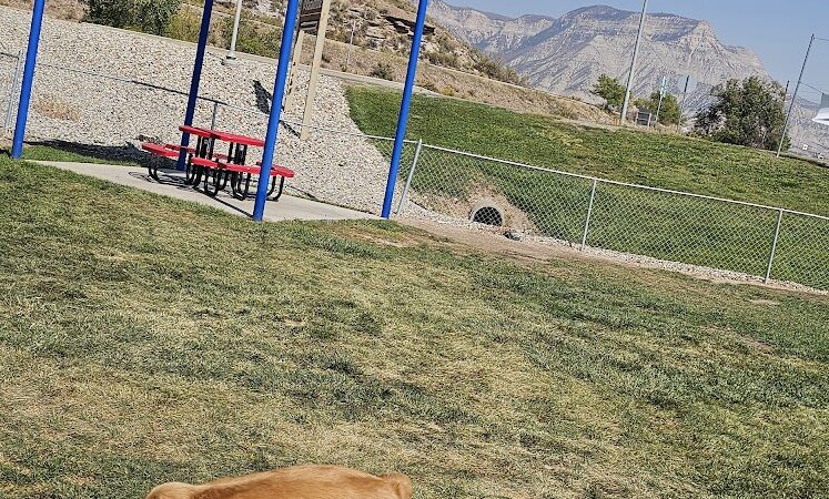 Parachute Dog Park - Parachute, CO