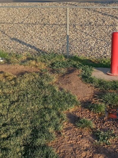 Parachute Dog Park - Parachute, CO