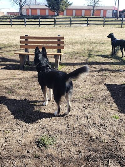 Patrick Brannon Memorial Dog Park - Paris, KY