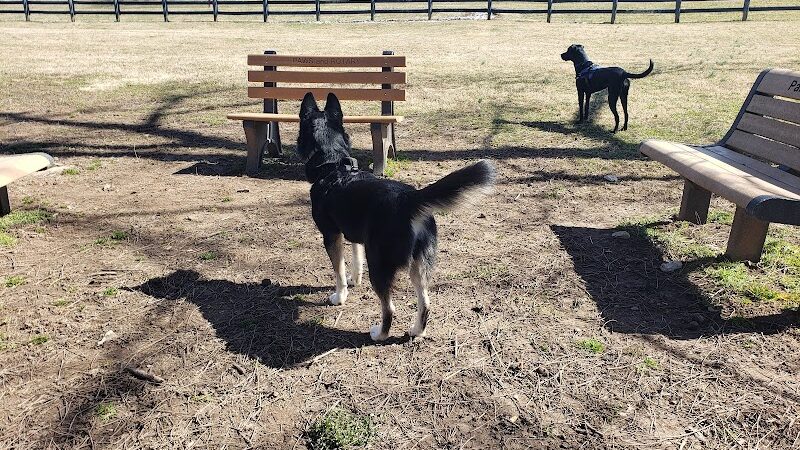 Patrick Brannon Memorial Dog Park - Paris, KY