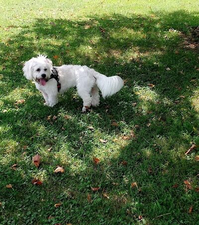 Patrick Brannon Memorial Dog Park - Paris, KY
