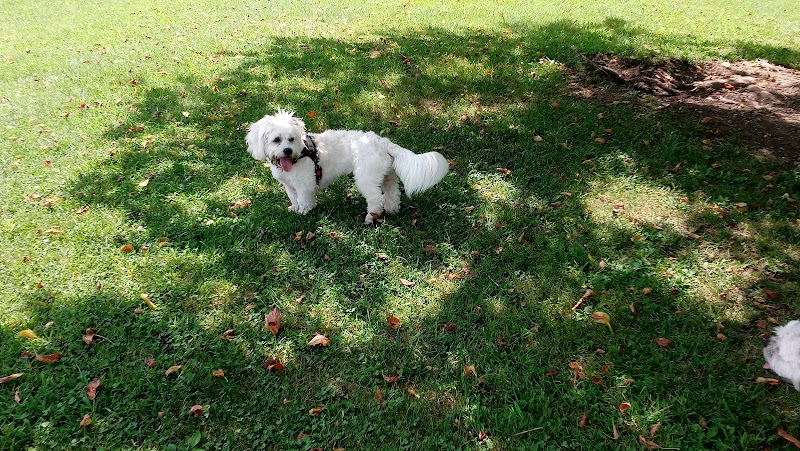 Patrick Brannon Memorial Dog Park - Paris, KY