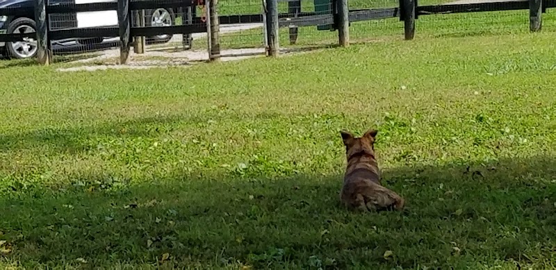 Patrick Brannon Memorial Dog Park - Paris, KY