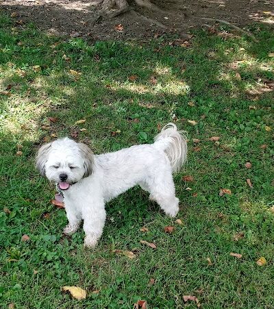 Patrick Brannon Memorial Dog Park - Paris, KY