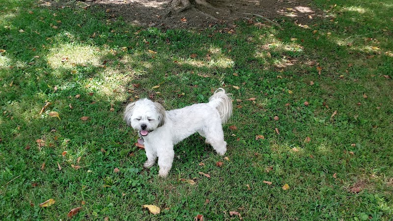 Patrick Brannon Memorial Dog Park - Paris, KY