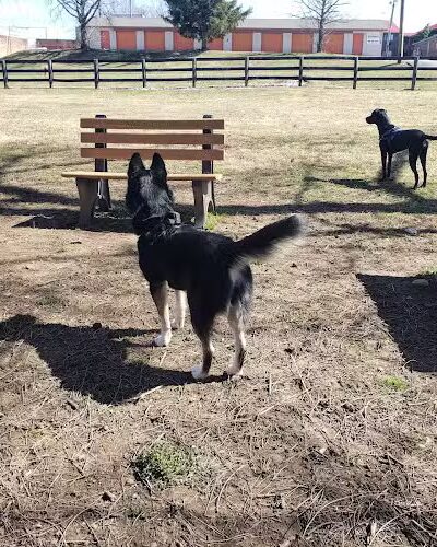 Patrick Brannon Memorial Dog Park - Paris, KY