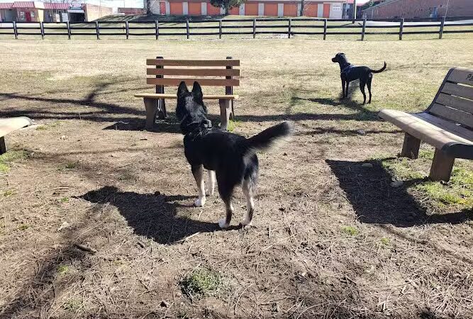 Patrick Brannon Memorial Dog Park - Paris, KY