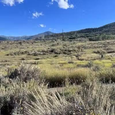 Run-a-Muk Off-Leash Area - Park City, UT