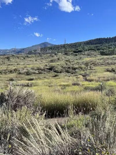 Run-a-Muk Off-Leash Area - Park City, UT