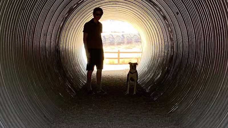 Run-a-Muk Off-Leash Area - Park City, UT