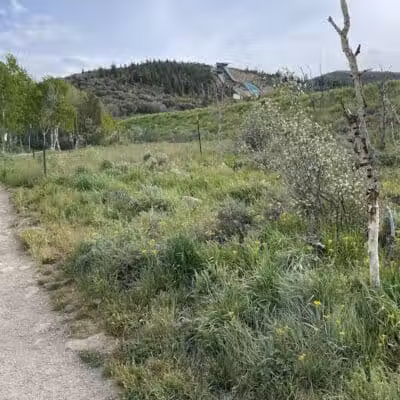 Run-a-Muk Off-Leash Area - Park City, UT