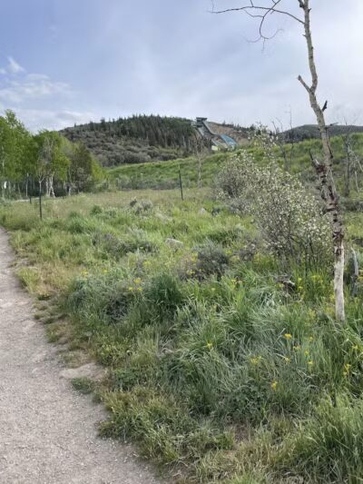 Run-a-Muk Off-Leash Area - Park City, UT