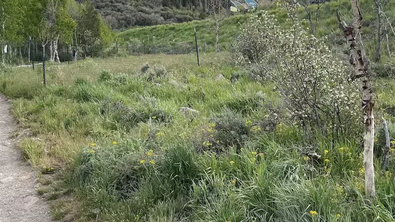 Run-a-Muk Off-Leash Area - Park City, UT