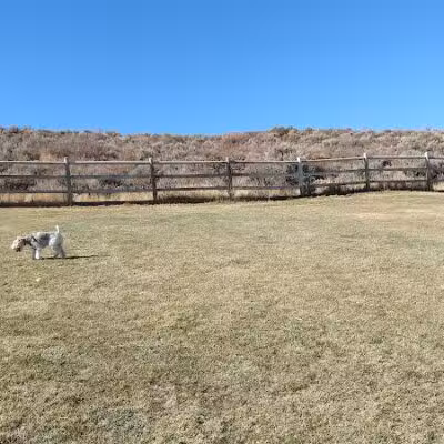 Trailside Dog Park - Park City, UT