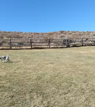 Trailside Dog Park - Park City, UT