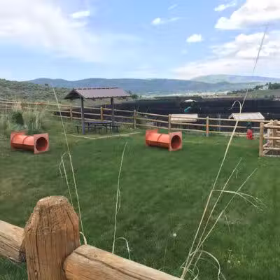 Trailside Dog Park - Park City, UT