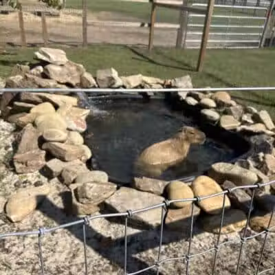 Parkton Animal Oasis - Parkton, NC
