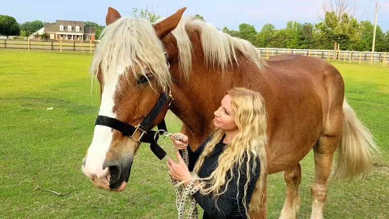 Parkton Animal Oasis - Parkton, NC