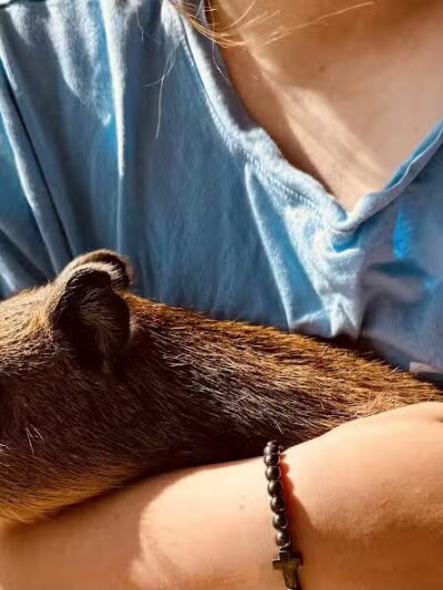 Parkton Animal Oasis - Parkton, NC