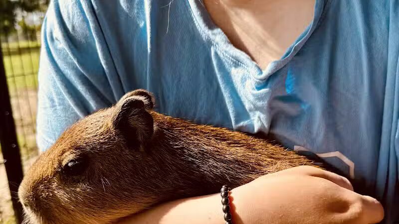 Parkton Animal Oasis - Parkton, NC