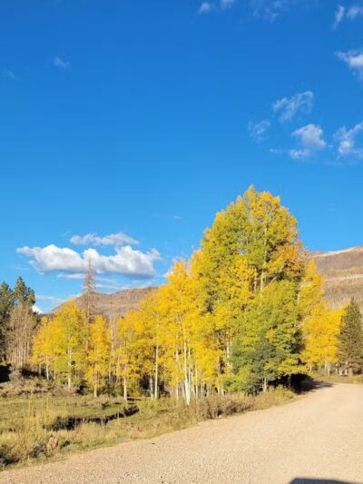 Lions Park - Parowan, UT