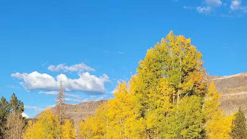 Lions Park - Parowan, UT