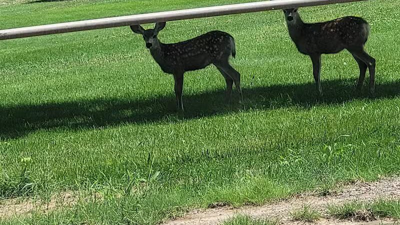 Lions Park - Parowan, UT