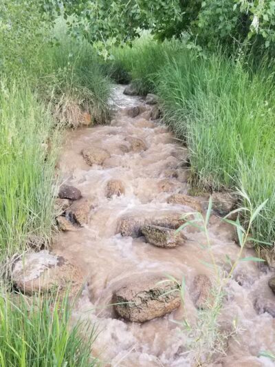 Parowan Pond - Parowan, UT