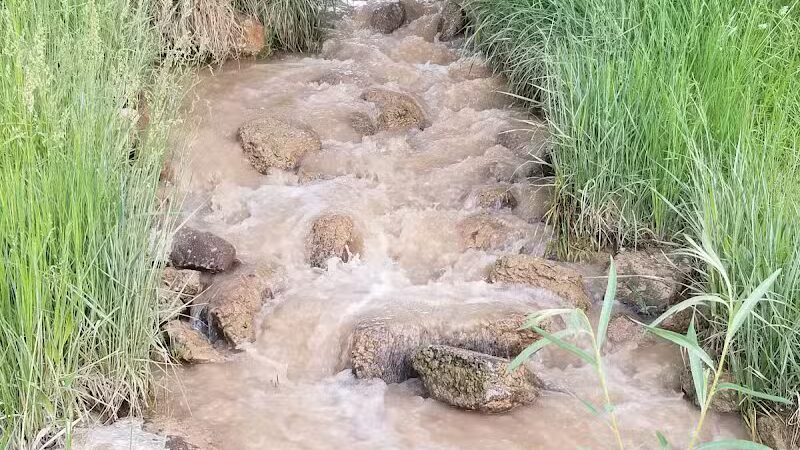 Parowan Pond - Parowan, UT