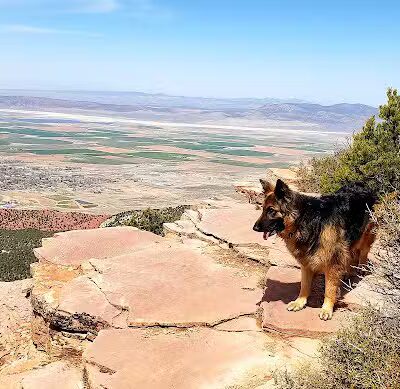 Valentine Peak Trail Head - Parowan, UT