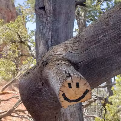 Valentine Peak Trail Head - Parowan, UT
