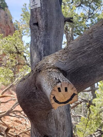 Valentine Peak Trail Head - Parowan, UT