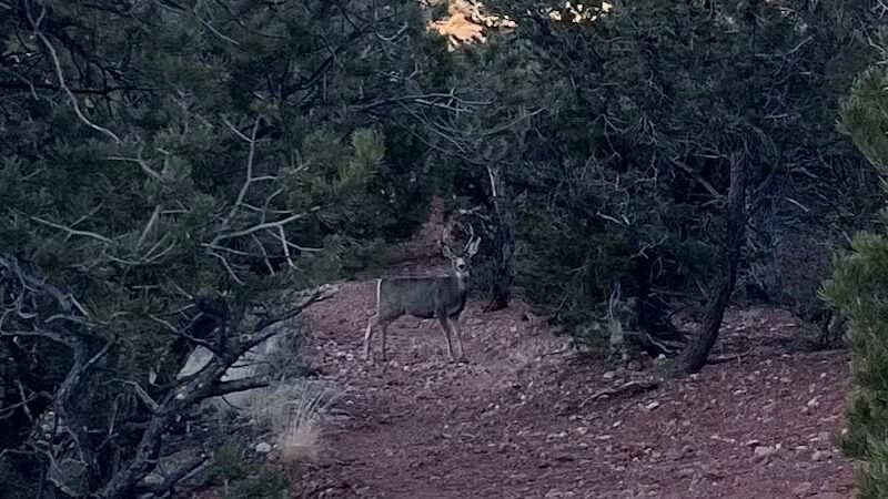 Valentine Peak Trail Head - Parowan, UT