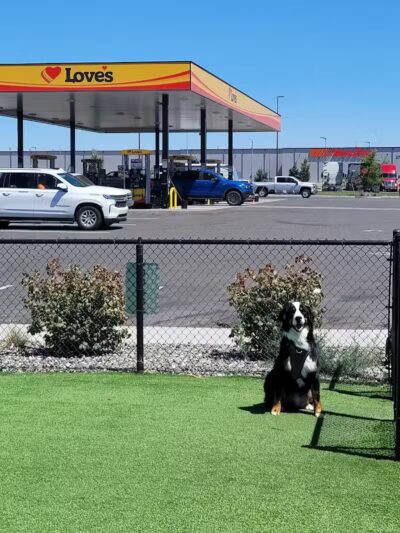 Dog Park at Love's Travel Stops - Pasco, WA