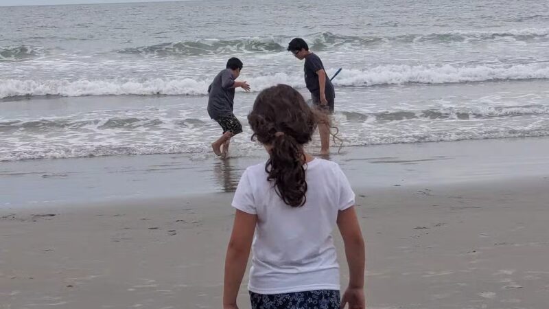 2nd Street Public Beach Access - Pawleys Island, SC