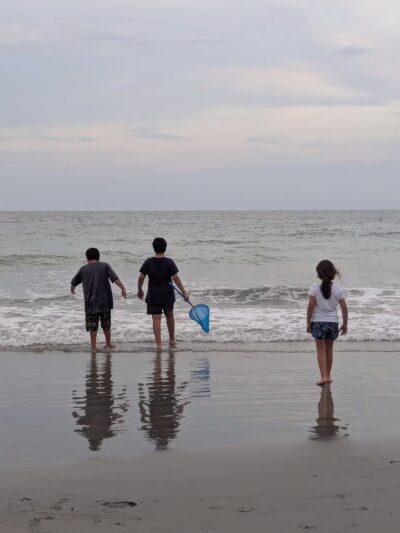 2nd Street Public Beach Access - Pawleys Island, SC
