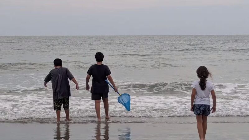 2nd Street Public Beach Access - Pawleys Island, SC
