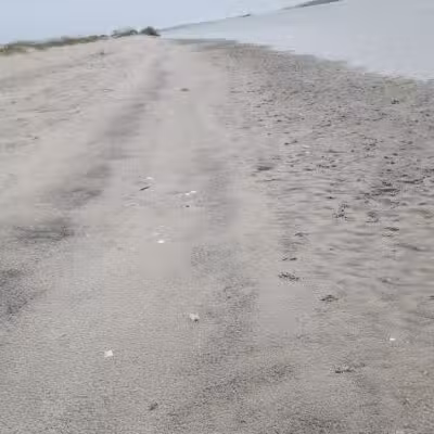 Pawley's Island parking lot South - Pawleys Island, SC
