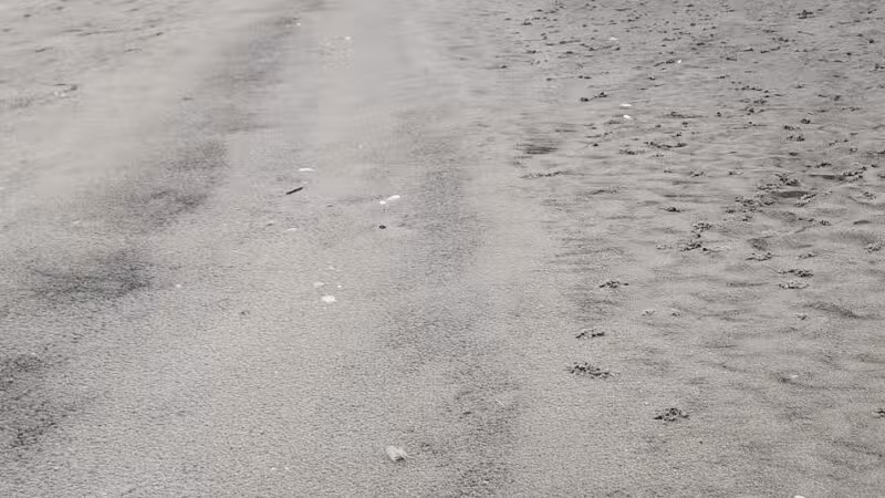 Pawley's Island parking lot South - Pawleys Island, SC