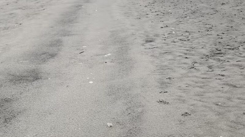 Pawley's Island parking lot South - Pawleys Island, SC
