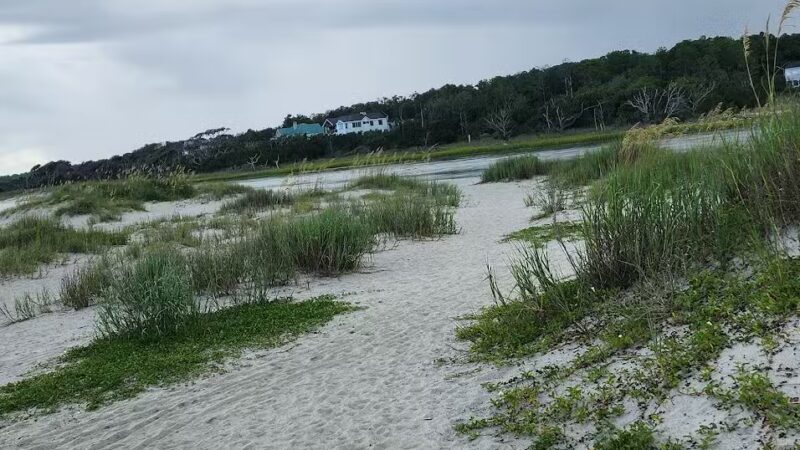 Pawley's Island parking lot South - Pawleys Island, SC
