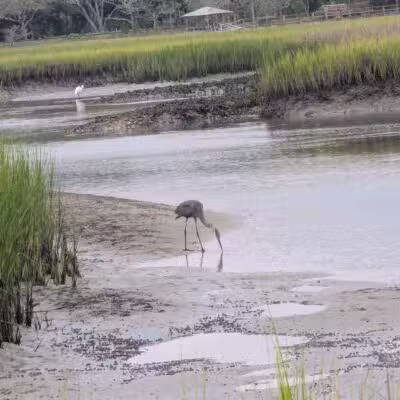 Pawleys Island Nature Park - Pawleys Island, SC